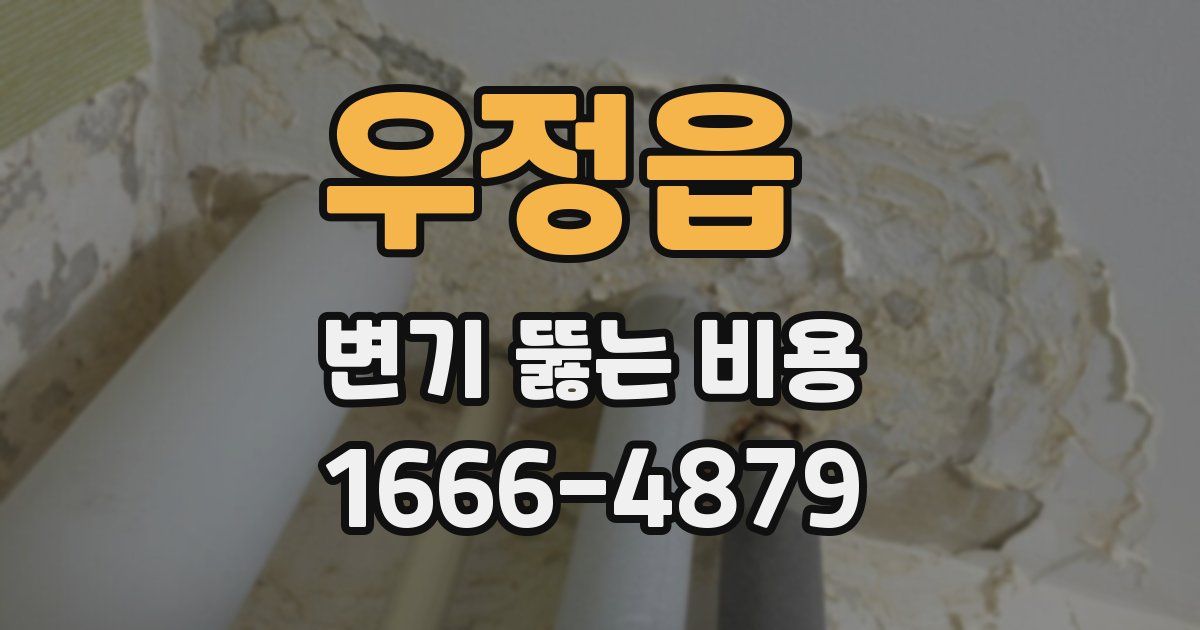 우정읍 변기 뚫는 비용