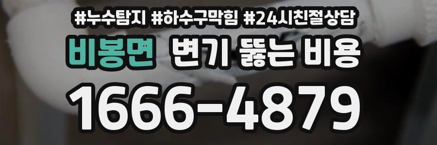 비봉면 변기 뚫는 비용