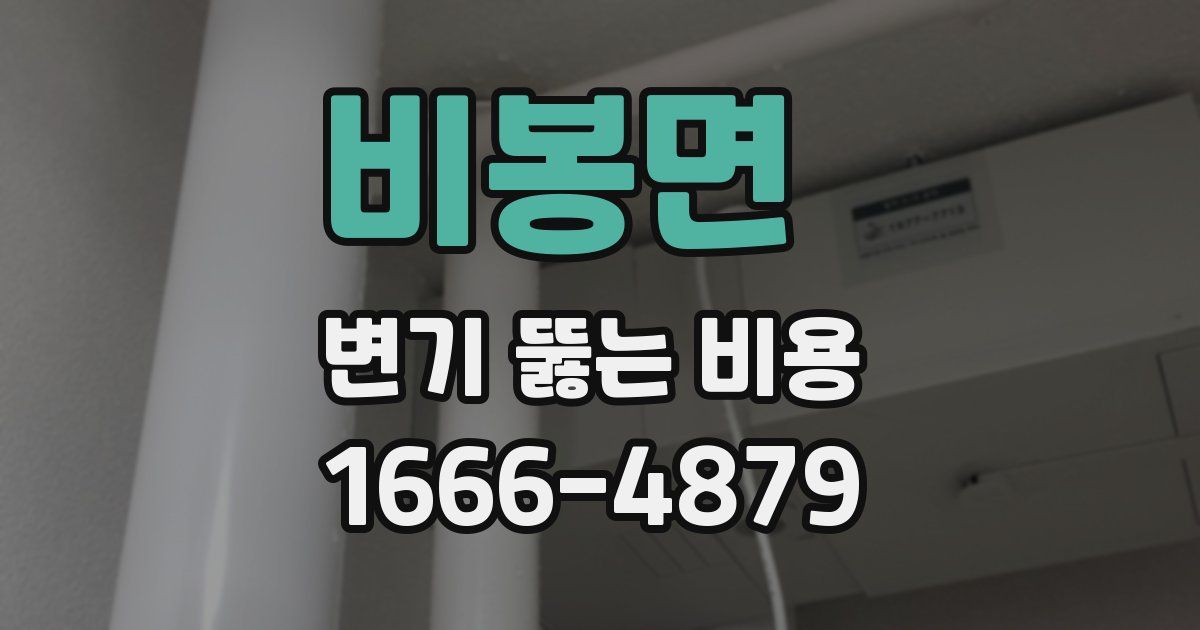 비봉면 변기 뚫는 비용