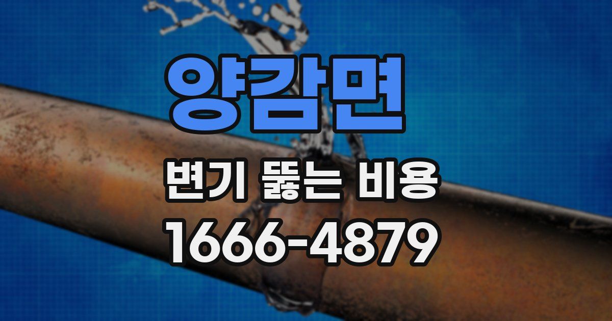 양감면 변기 뚫는 비용