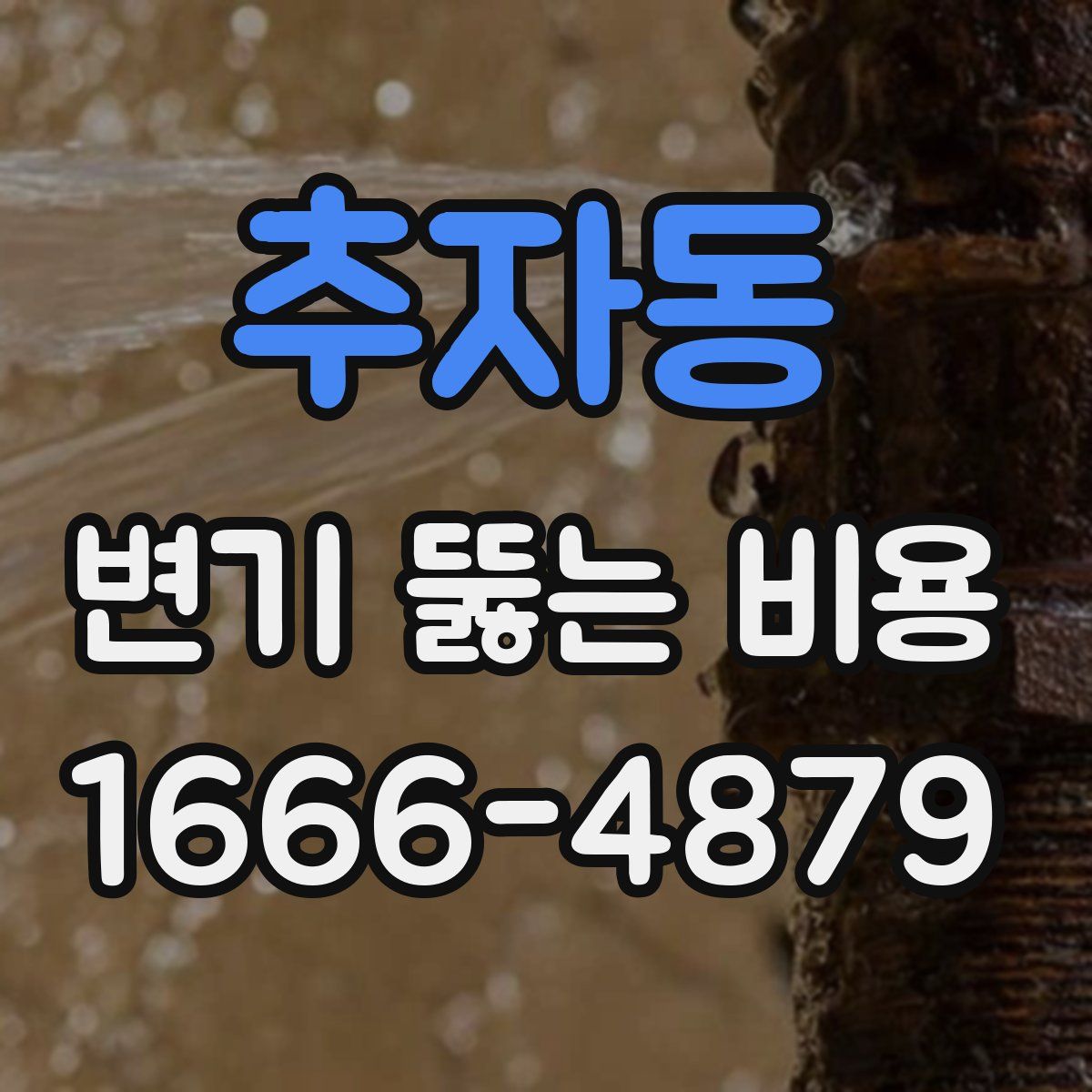 추자동 변기 뚫는 비용