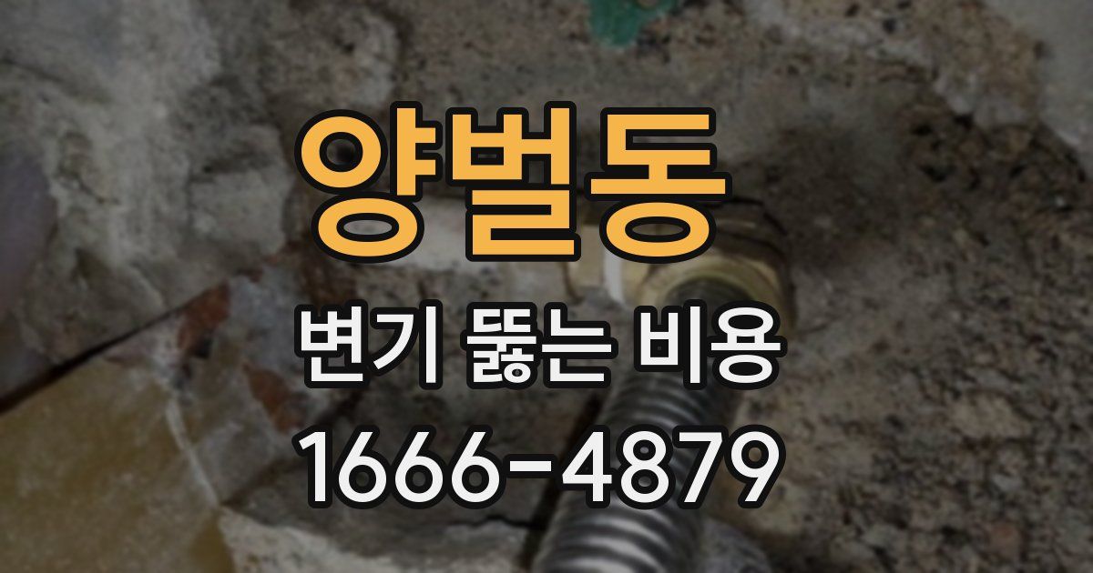양벌동 변기 뚫는 비용