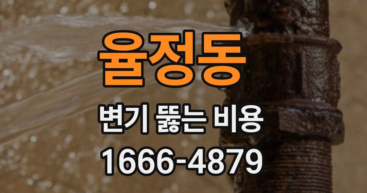 율정동 변기 뚫는 비용