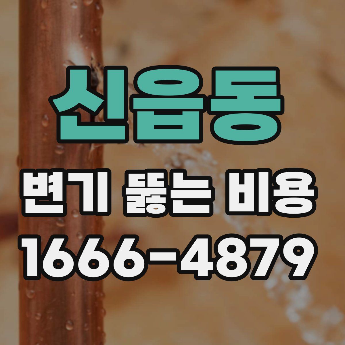 신읍동 변기 뚫는 비용