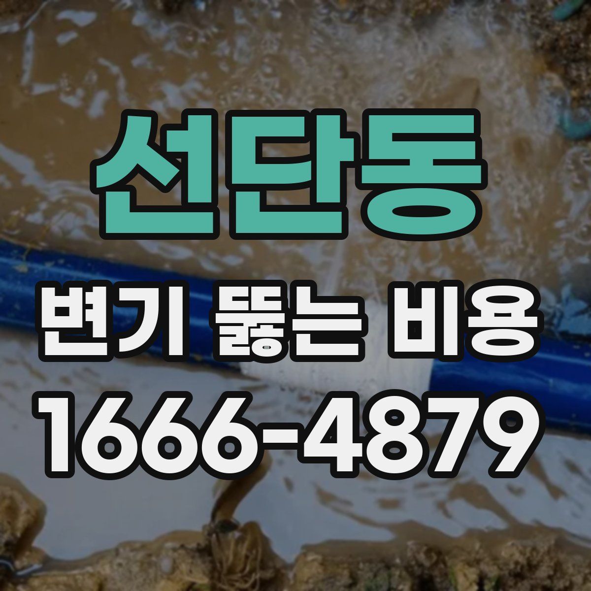 선단동 변기 뚫는 비용