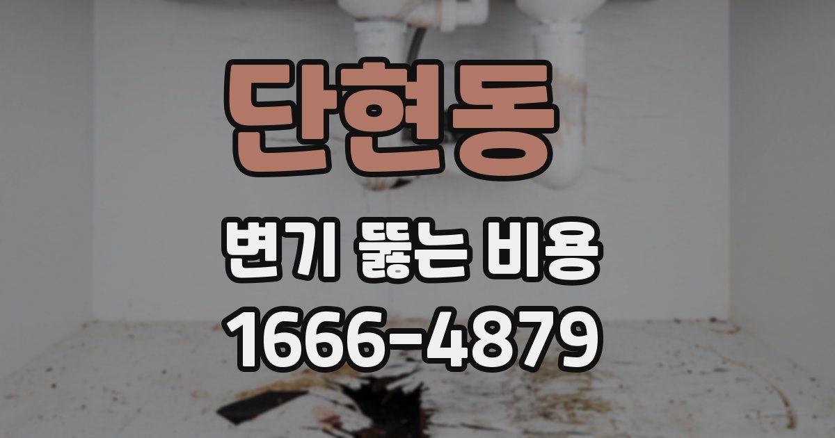 단현동 변기 뚫는 비용