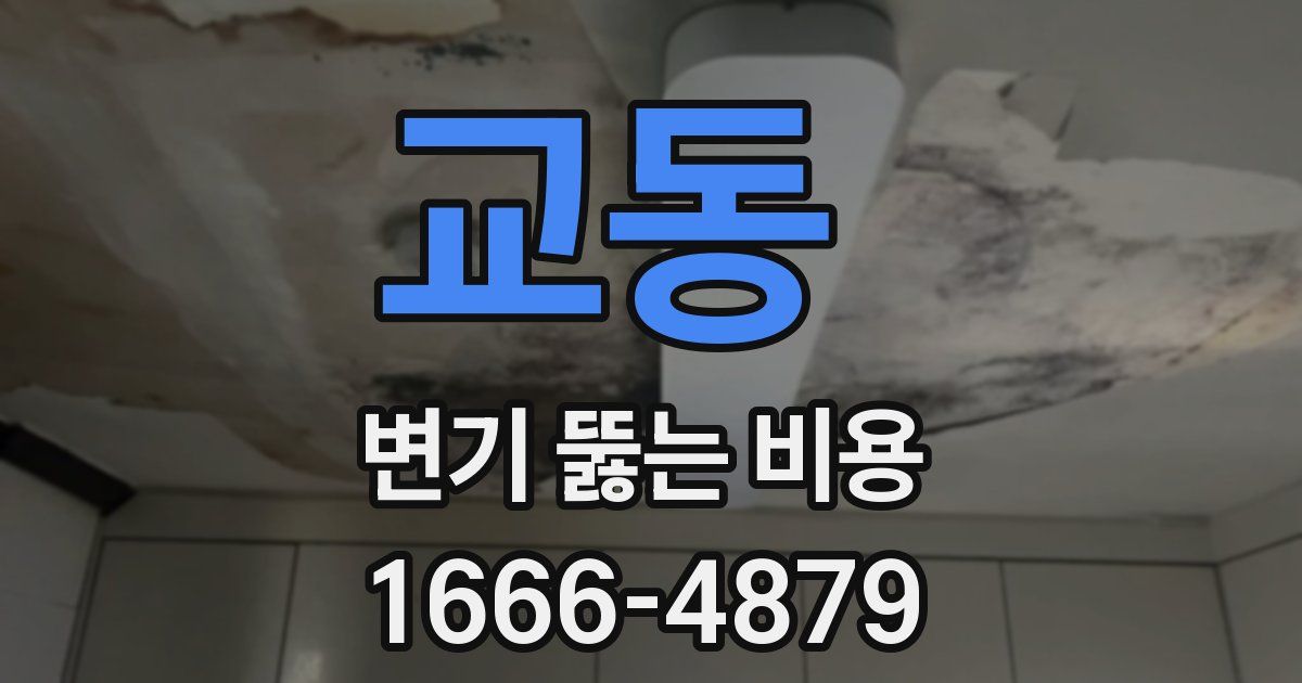 교동 변기 뚫는 비용