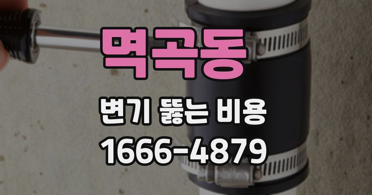 멱곡동 변기 뚫는 비용