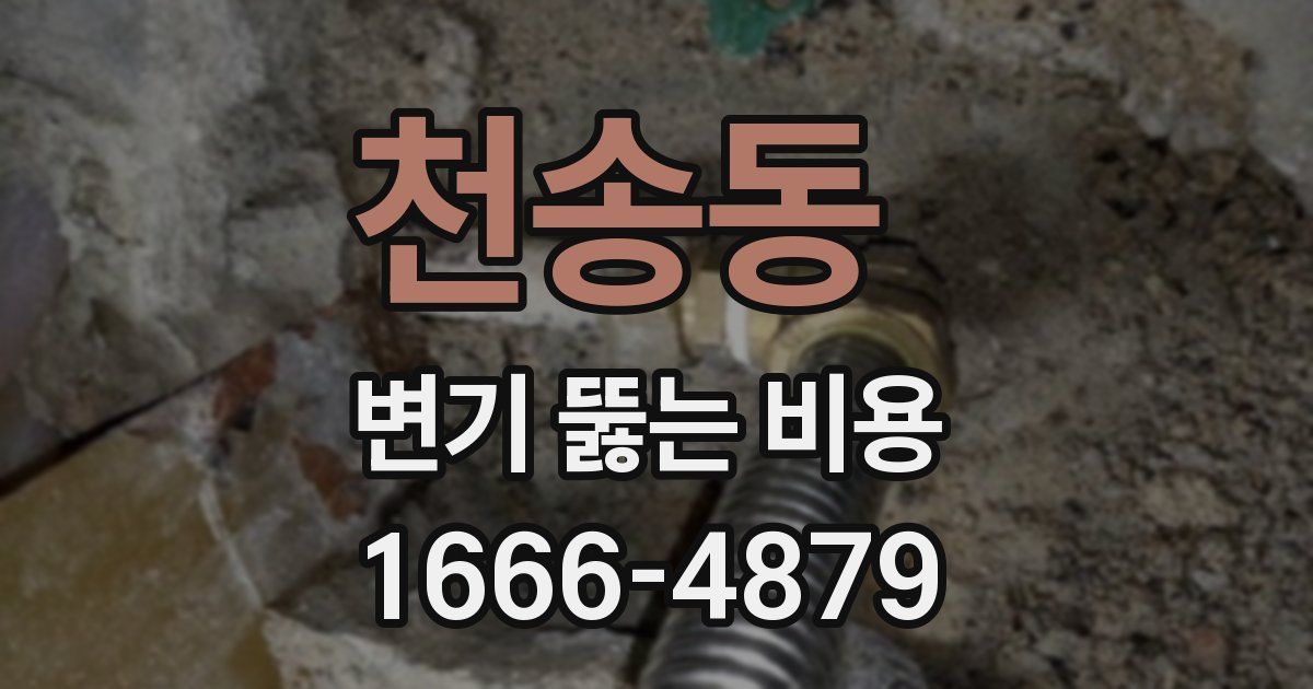 천송동 변기 뚫는 비용