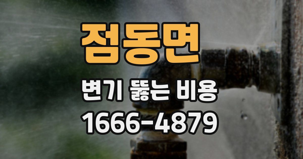 점동면 변기 뚫는 비용
