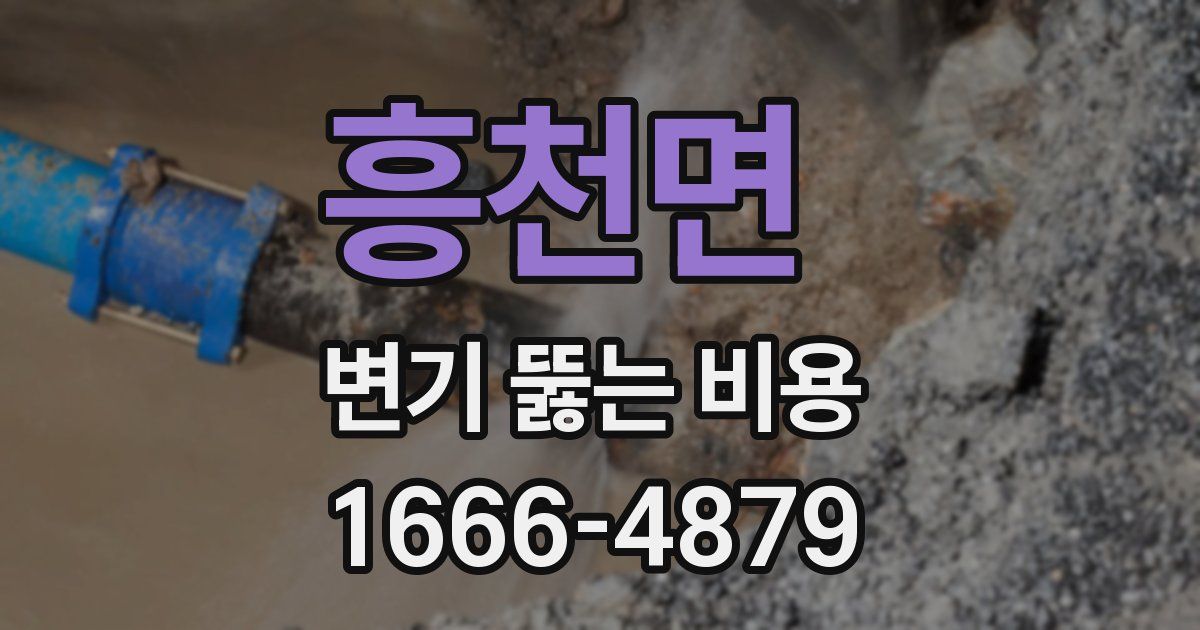 흥천면 변기 뚫는 비용