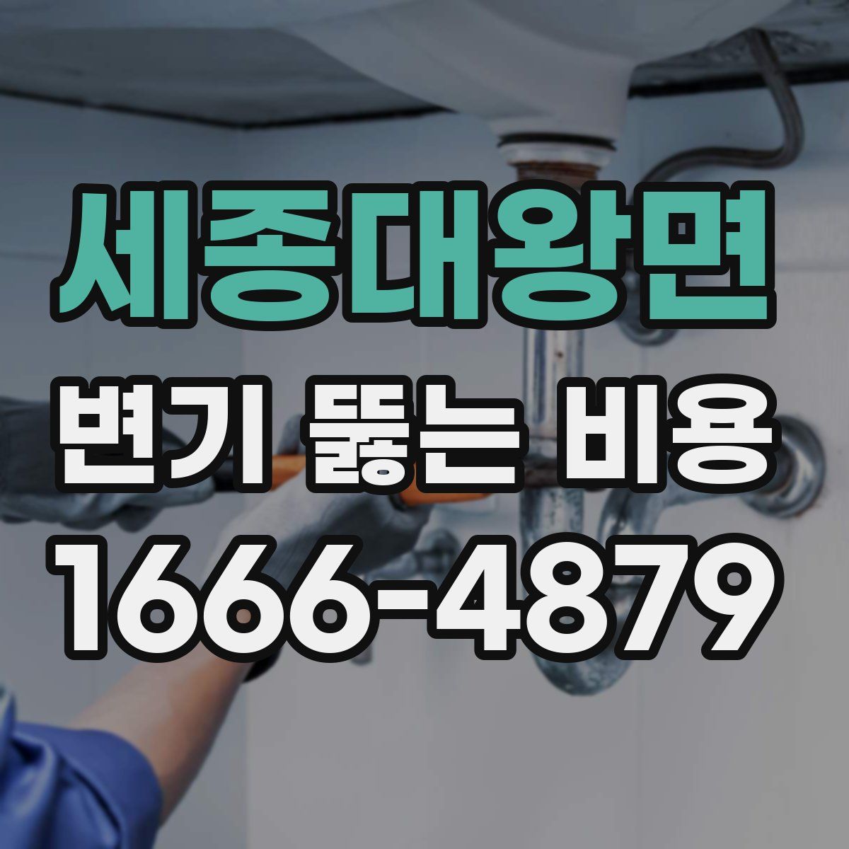 세종대왕면 변기 뚫는 비용