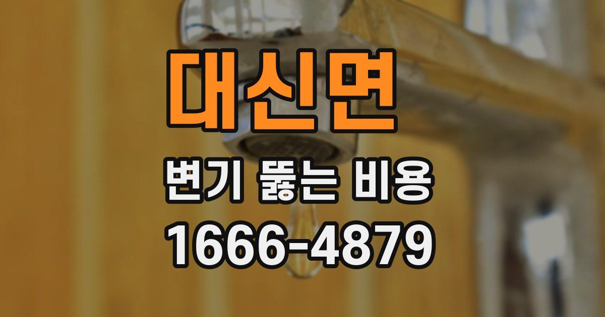 대신면 변기 뚫는 비용