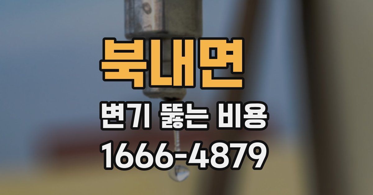 북내면 변기 뚫는 비용