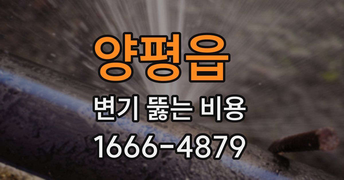 양평읍 변기 뚫는 비용