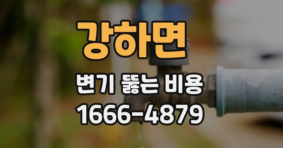 강하면 변기 뚫는 비용