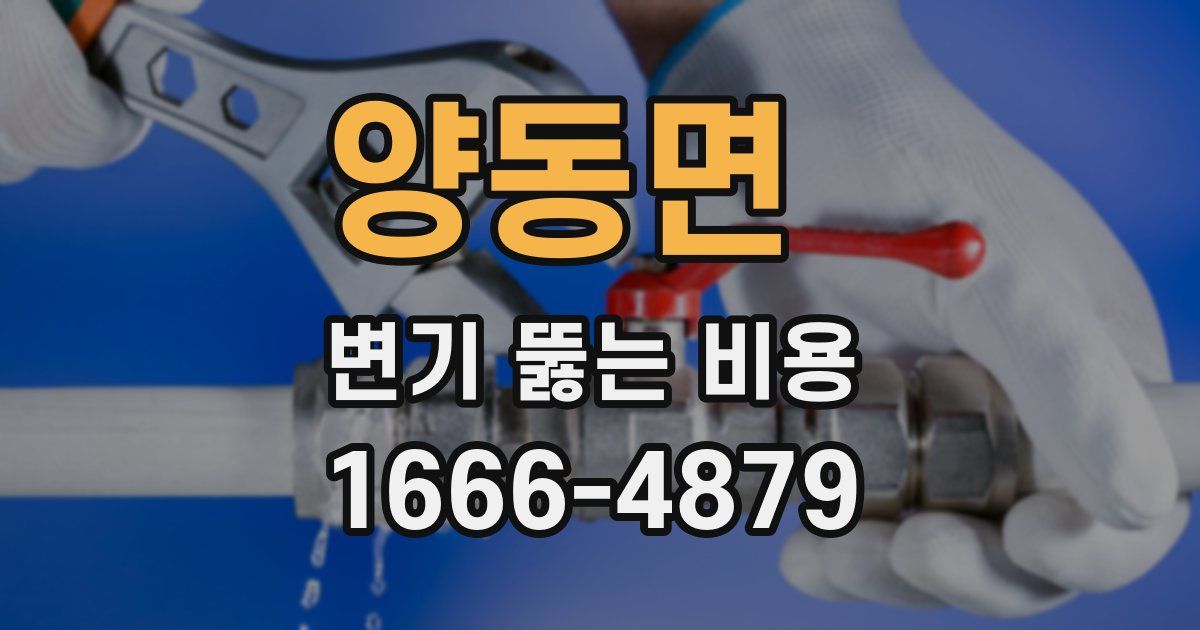 양동면 변기 뚫는 비용