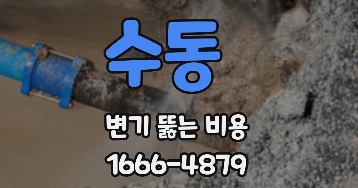 수동 변기 뚫는 비용