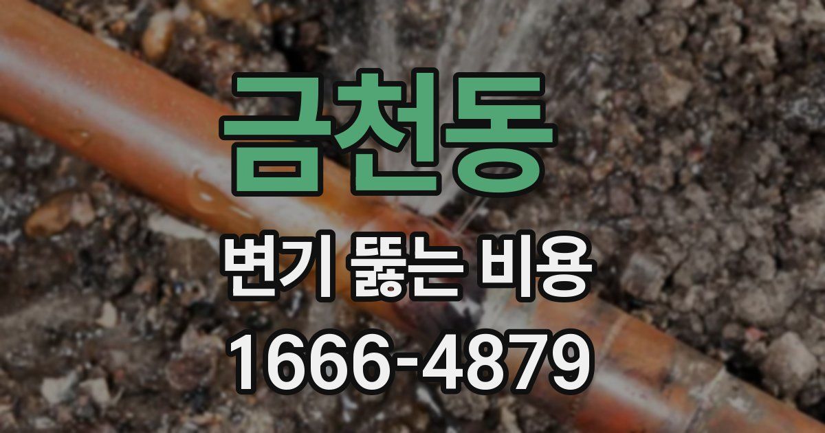 금천동 변기 뚫는 비용