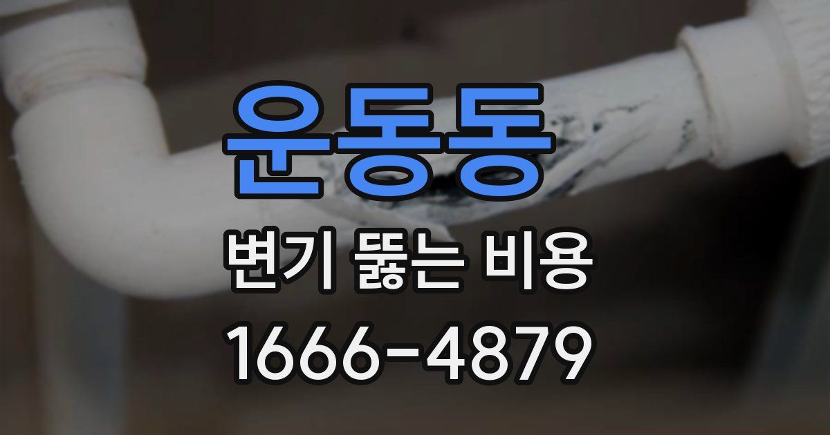 운동동 변기 뚫는 비용