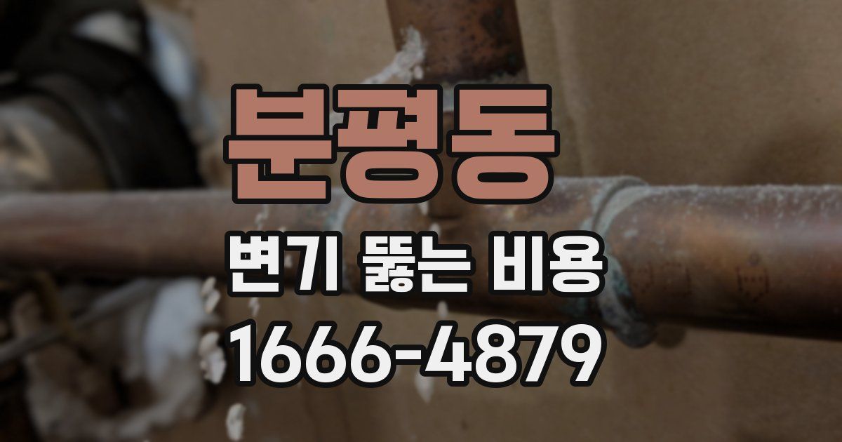 분평동 변기 뚫는 비용