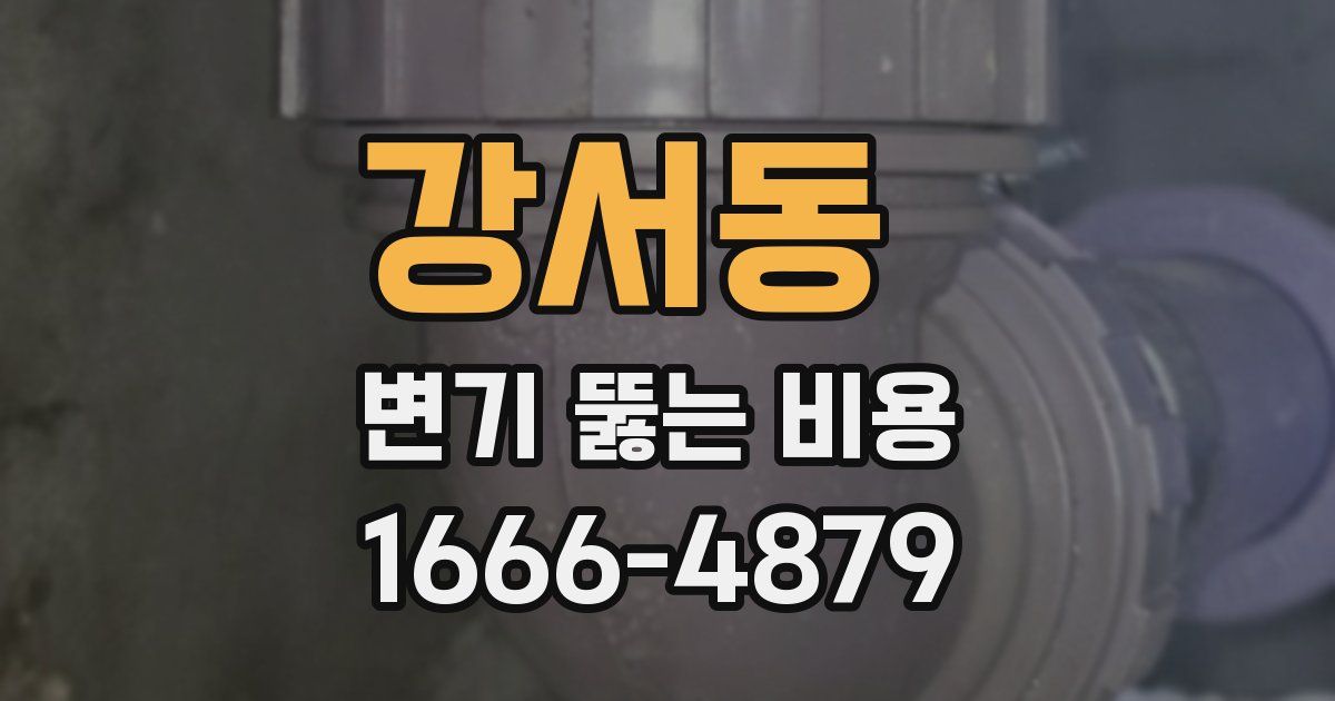 강서동 변기 뚫는 비용