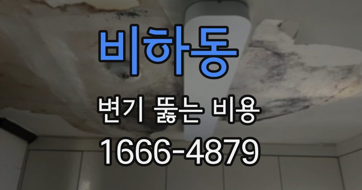 비하동 변기 뚫는 비용