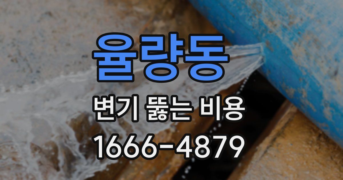 율량동 변기 뚫는 비용