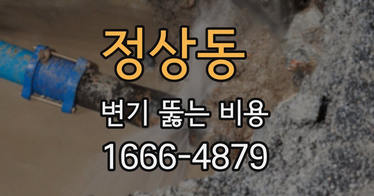 정상동 변기 뚫는 비용