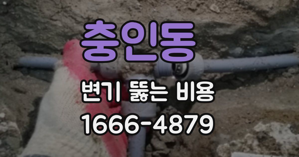 충인동 변기 뚫는 비용