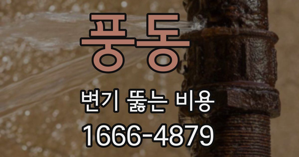풍동 변기 뚫는 비용