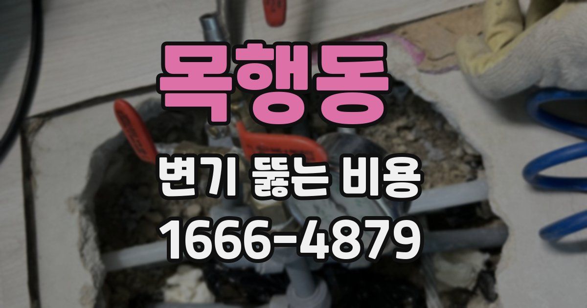 목행동 변기 뚫는 비용