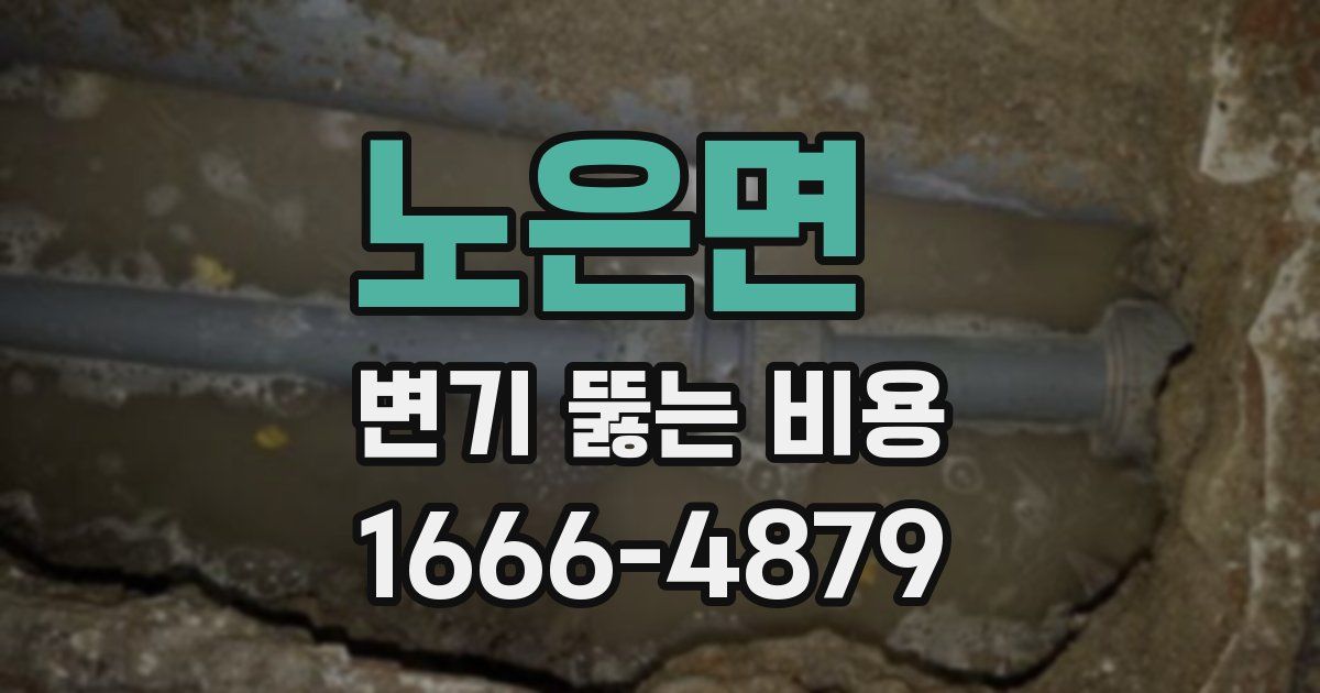노은면 변기 뚫는 비용