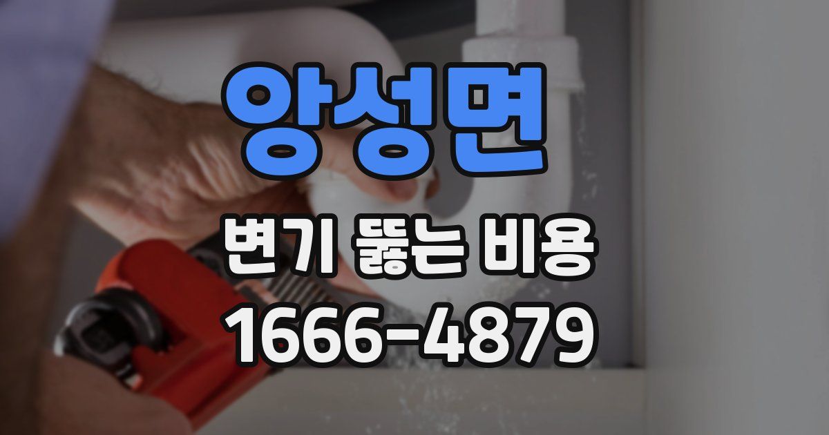 앙성면 변기 뚫는 비용