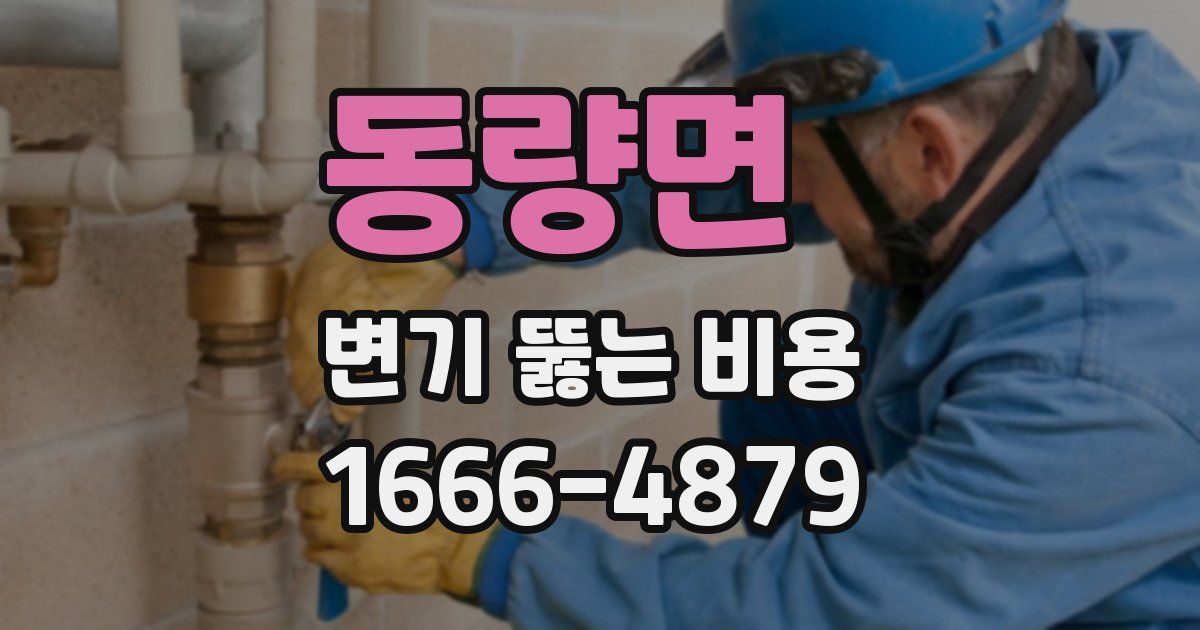 동량면 변기 뚫는 비용