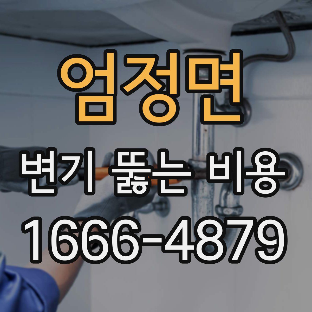 엄정면 변기 뚫는 비용