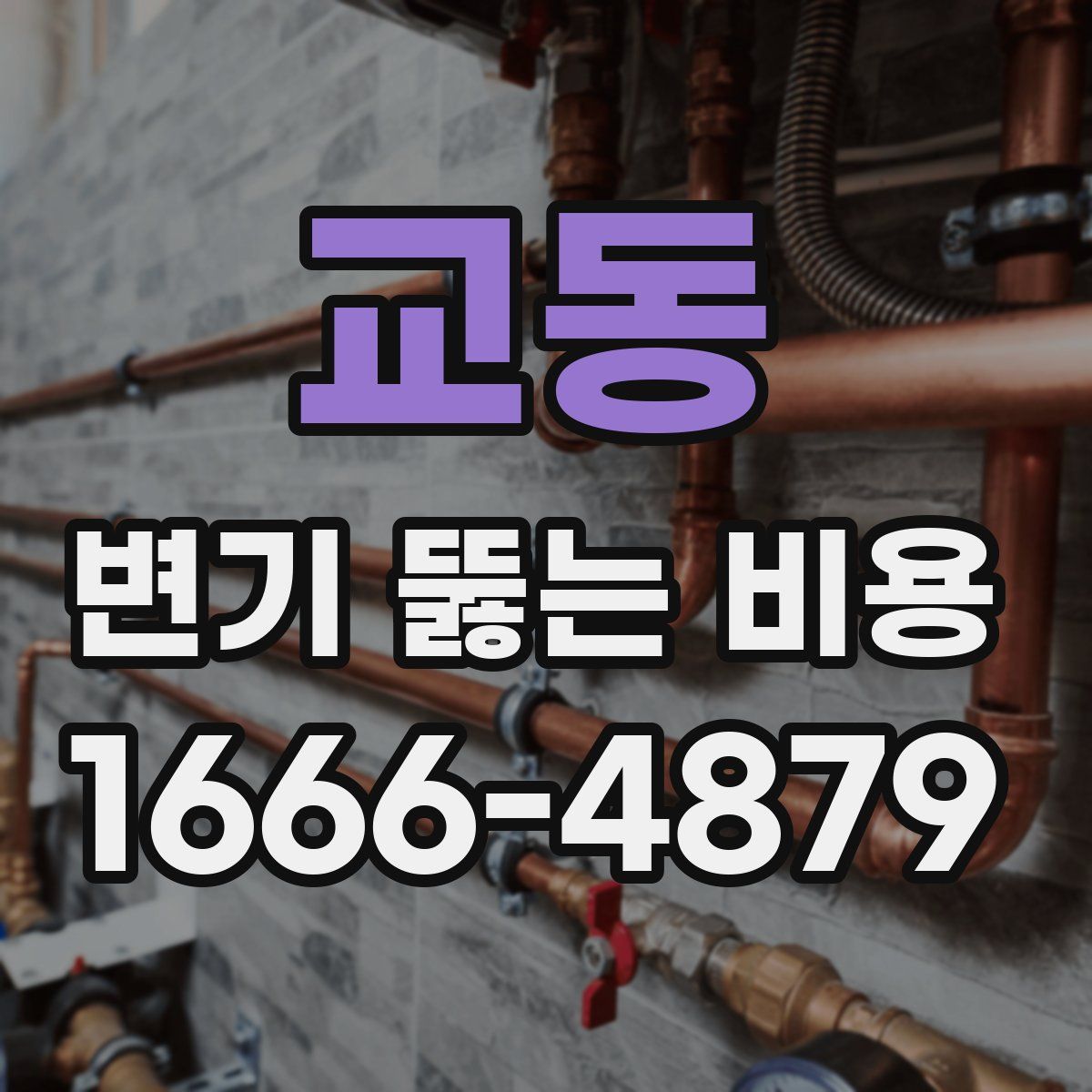 교동 변기 뚫는 비용
