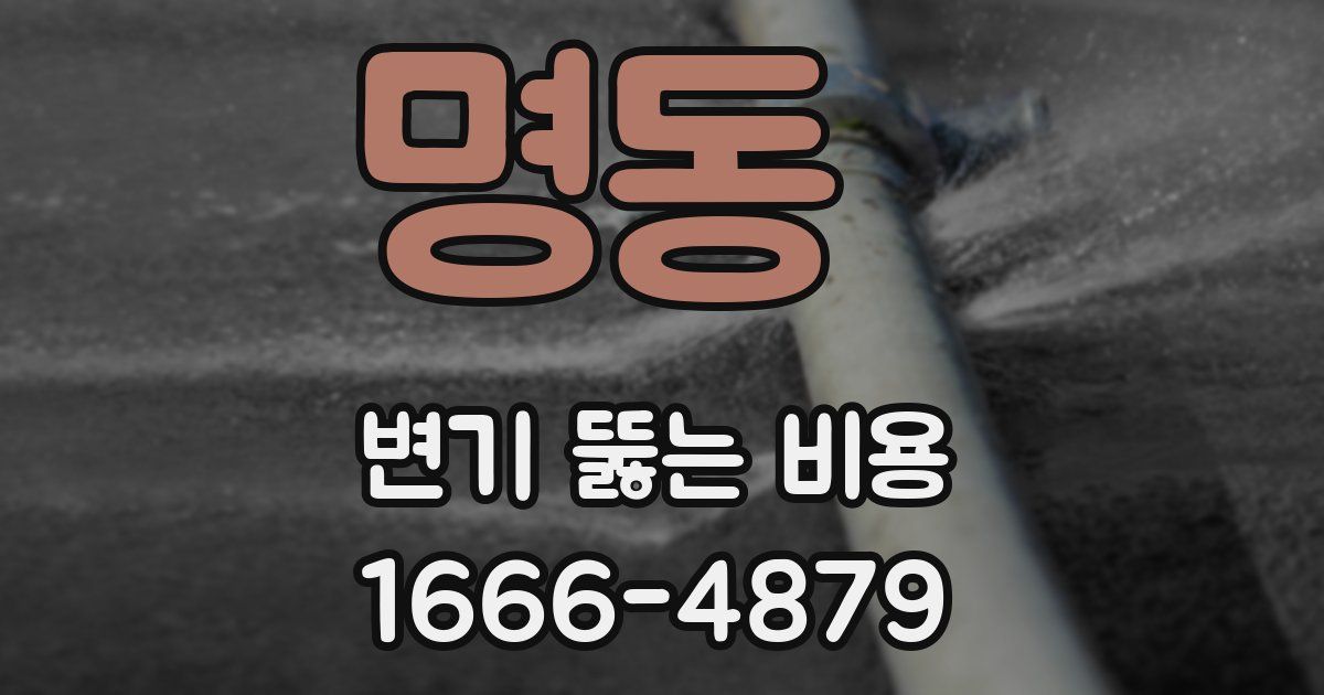 명동 변기 뚫는 비용