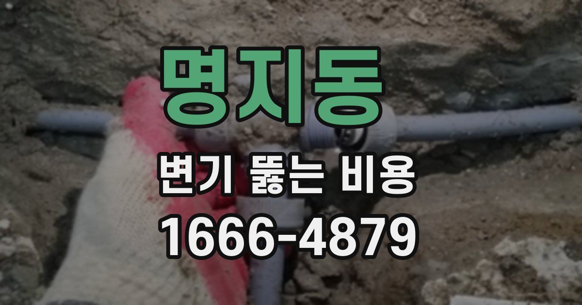 명지동 변기 뚫는 비용