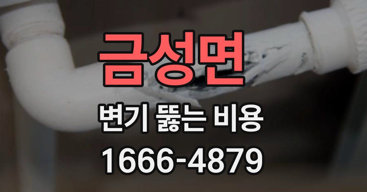 금성면 변기 뚫는 비용