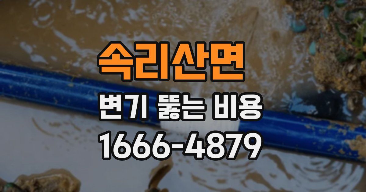 속리산면 변기 뚫는 비용