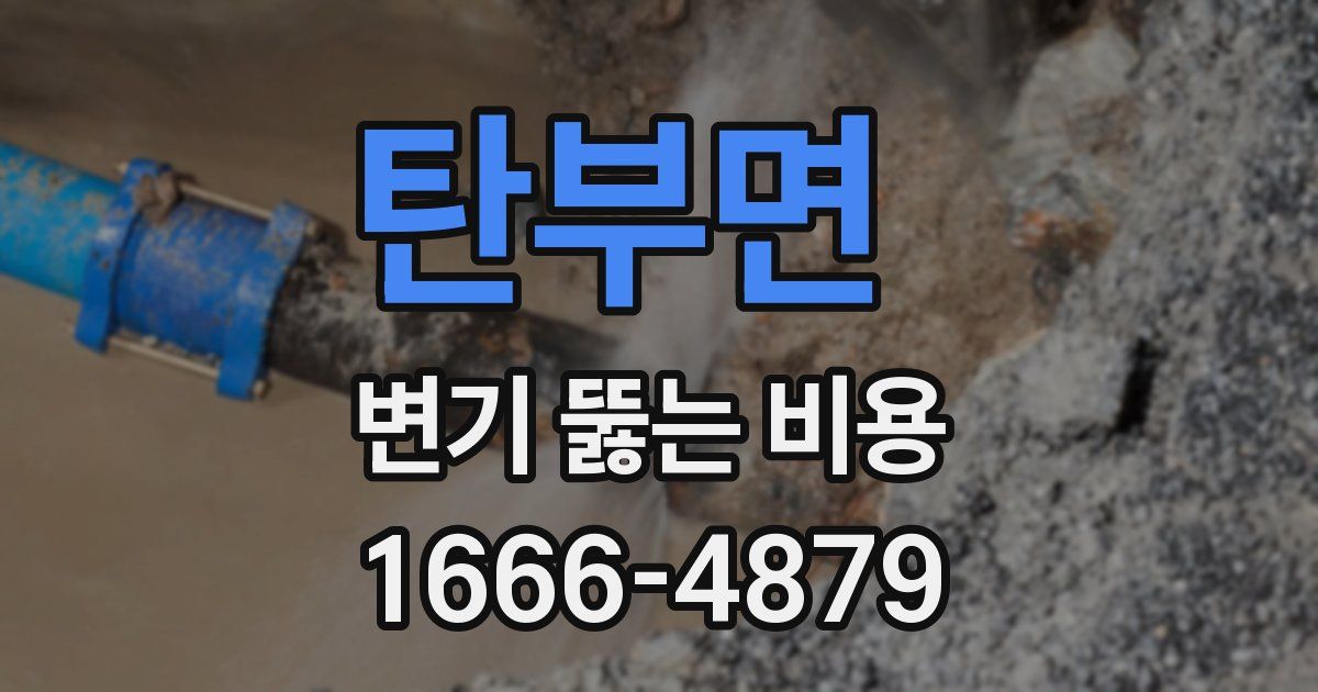 탄부면 변기 뚫는 비용