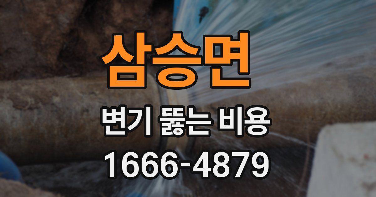삼승면 변기 뚫는 비용