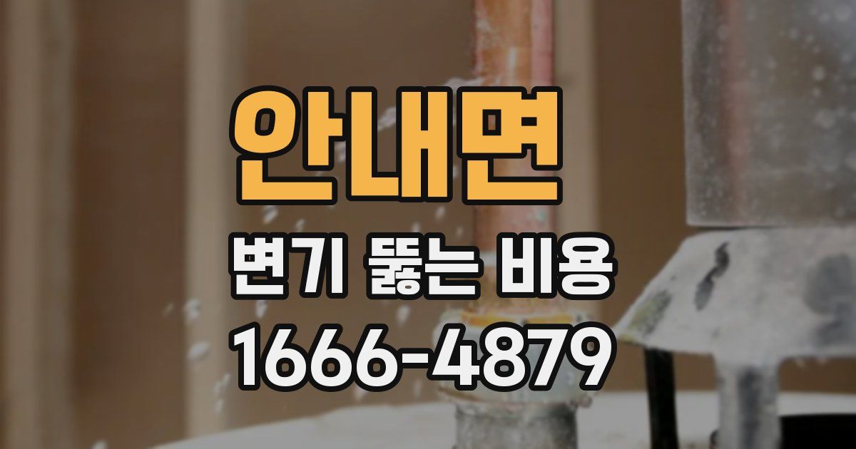 안내면 변기 뚫는 비용