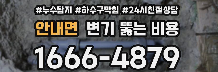 안내면 변기 뚫는 비용