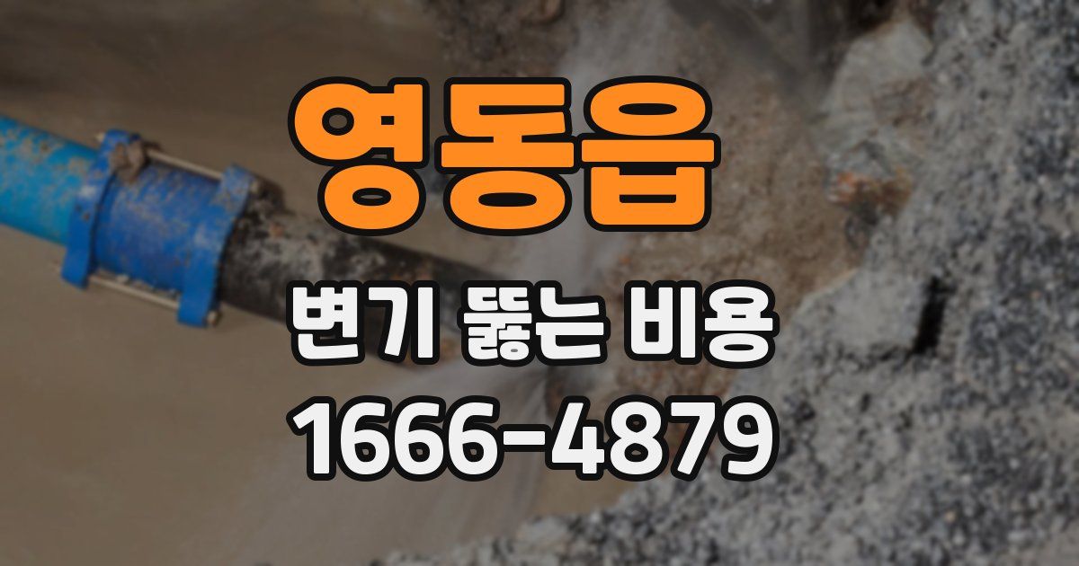 영동읍 변기 뚫는 비용