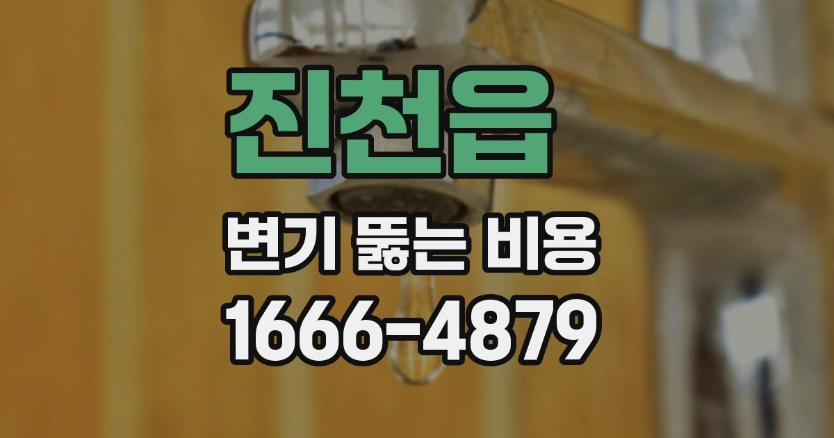 진천읍 변기 뚫는 비용