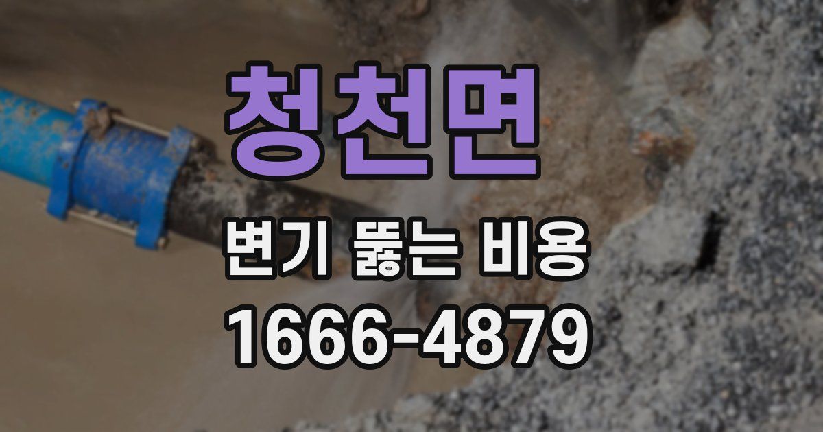청천면 변기 뚫는 비용
