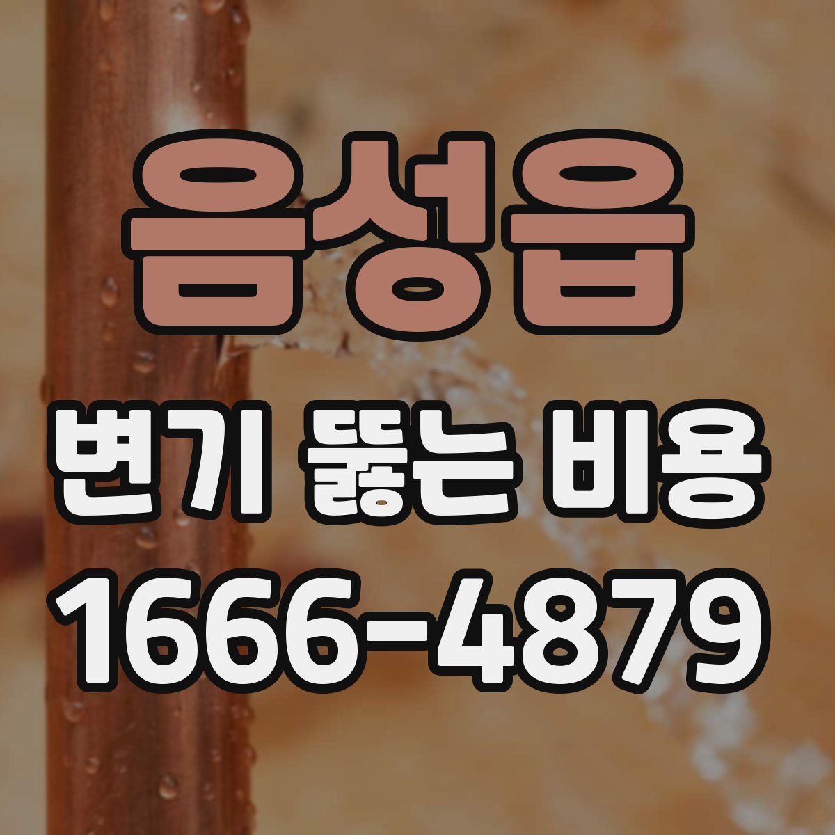 음성읍 변기 뚫는 비용