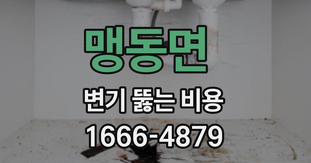 맹동면 변기 뚫는 비용